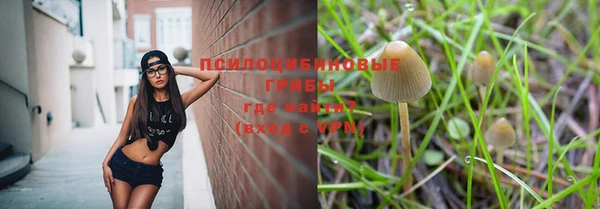 ALPHA PVP Михайловка