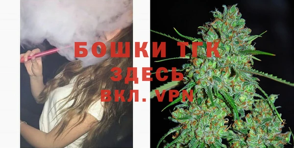 стаф Вяземский