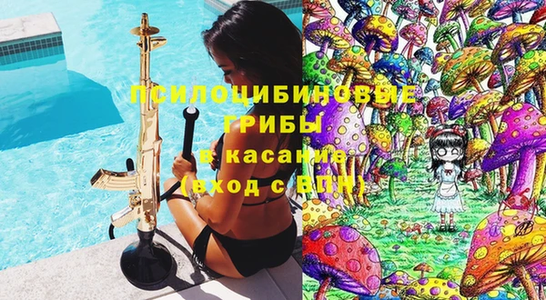 крисы Медногорск