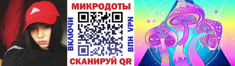 omg как войти  Мурино  Галлюциногенные грибы ЛСД  где найти  
