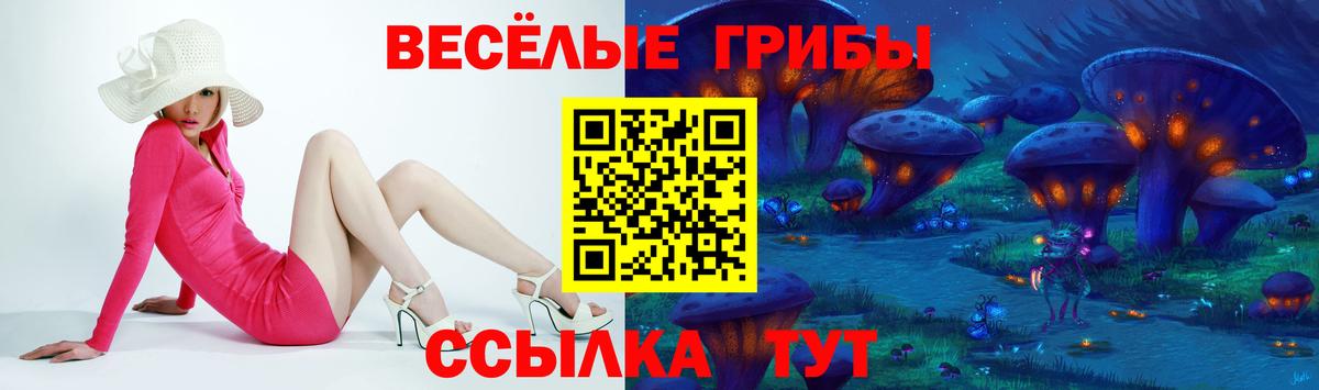 Мурино  Псилоцибиновые грибы прущие грибы  Вход с VPN 