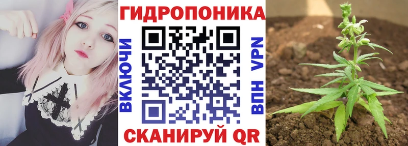 Конопля конопля  Мурино 